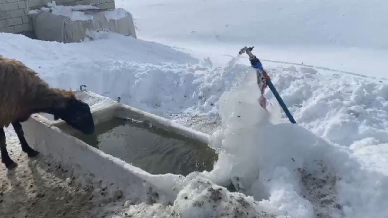 Ağrı'da dondurucu soğuklar etkisini sürdürüyor