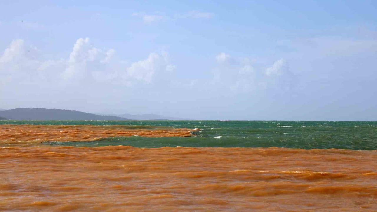 Akyaka'da sağanak sonrası deniz kahverengiye döndü