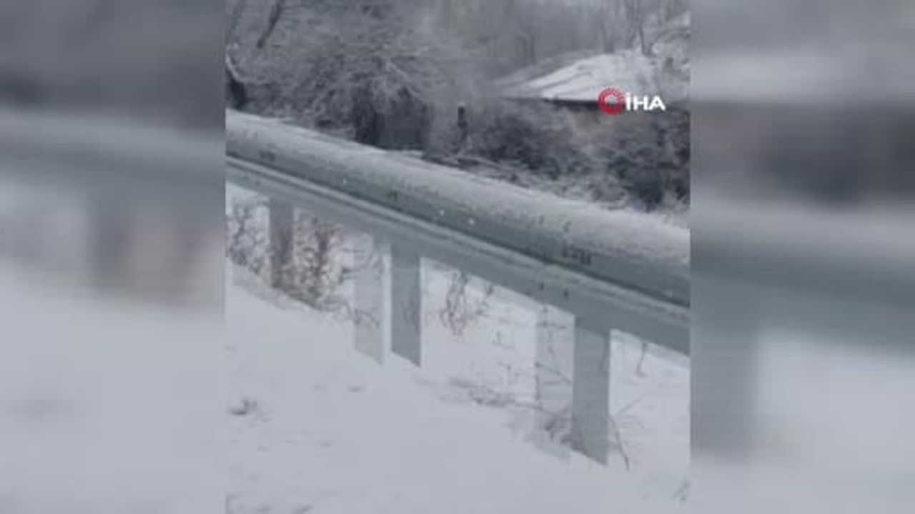 Akyurt'ta kar sonrası karacalar sürü halinde görüntülendi