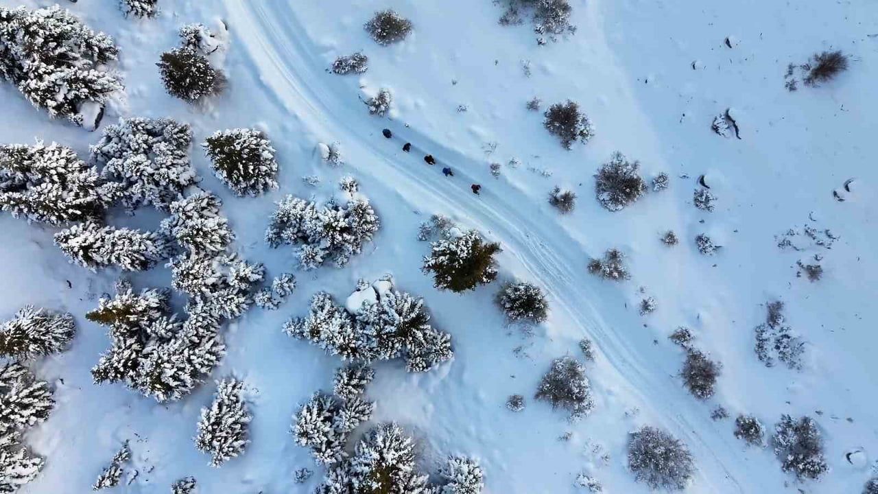 Aladağlar'da kışın doğa ve fotoğraf tutkunlarına görsel şölen