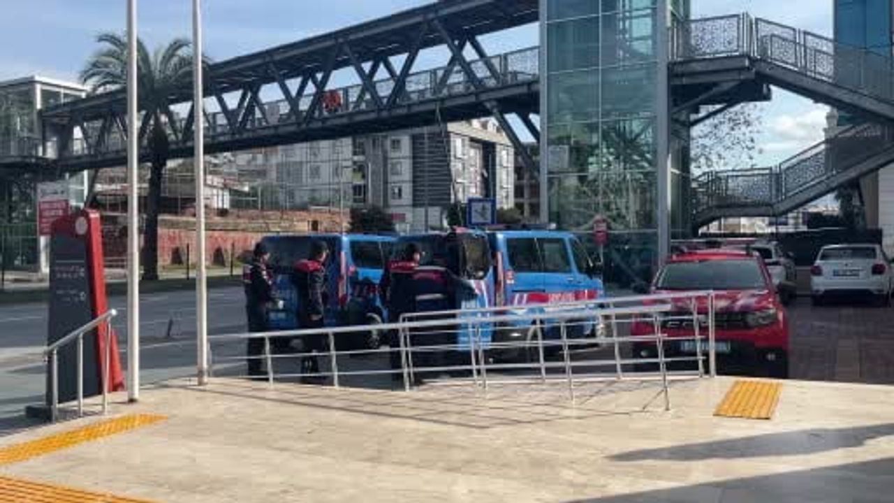 Alanya'da avokado hırsızları jandarmayı görünce kaçtı