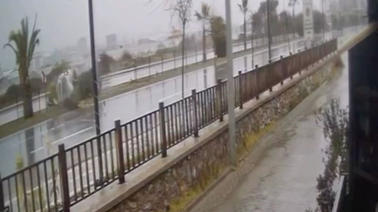 Alanya'da otomobil refüjdeki ağaca çarpıp takla attı