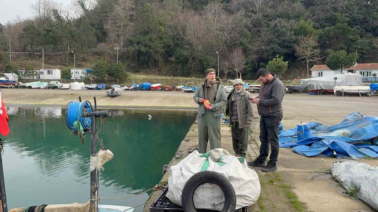 Alaplı Balıkçı Limanı'nda mahsur kalan yunus sahil güvenlik tarafından kurtarıldı