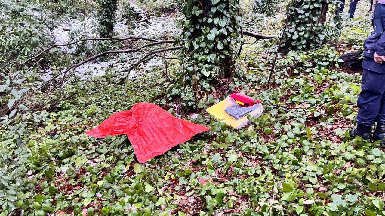 Alaplı'da kayıp adliye çalışanı Mustafa Uçar ormanlık alanda ölü bulundu