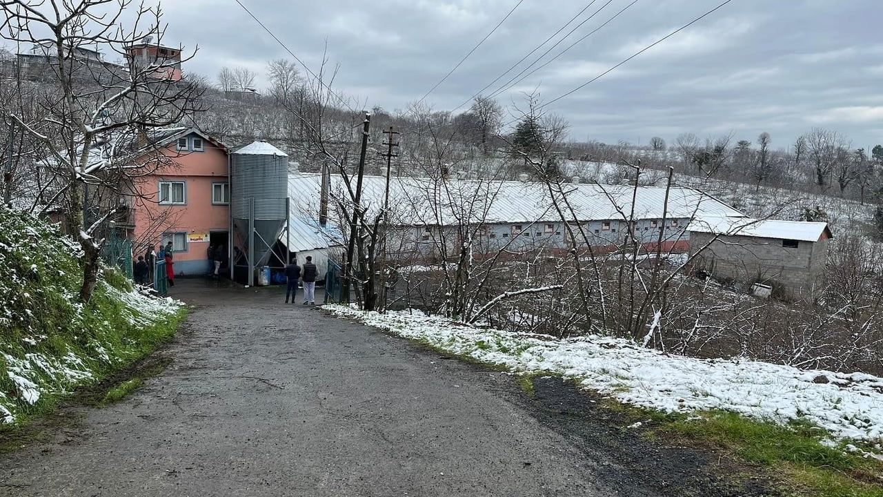 Alaplı Hacıhasan Köyü'nde Tavuk Kümesi Yangını — Hızlı Müdahale Felaketi Önledi