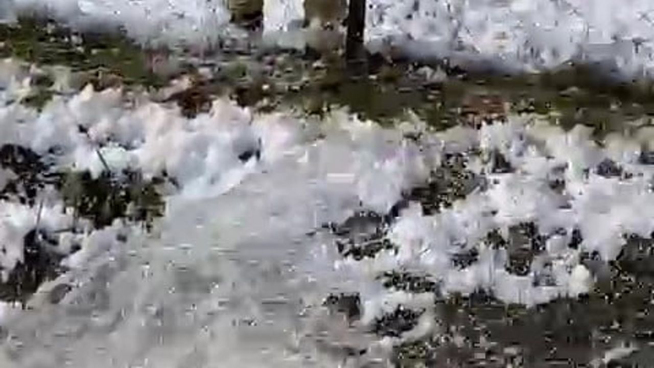 Amasya’da su kanalına düşen karaca avcılar tarafından kurtarıldı