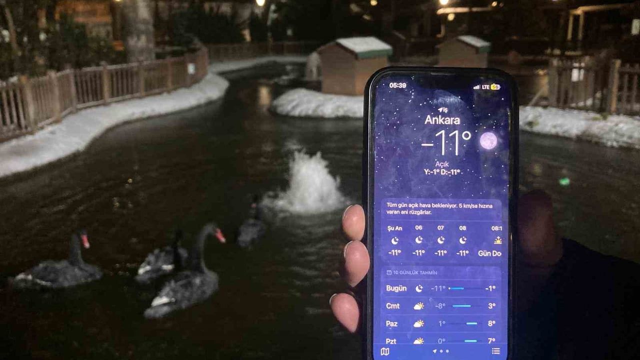 Ankara'da kar sonrası sıcaklık eksi 11 dereceye indi, Kuğulu Park'ta donma