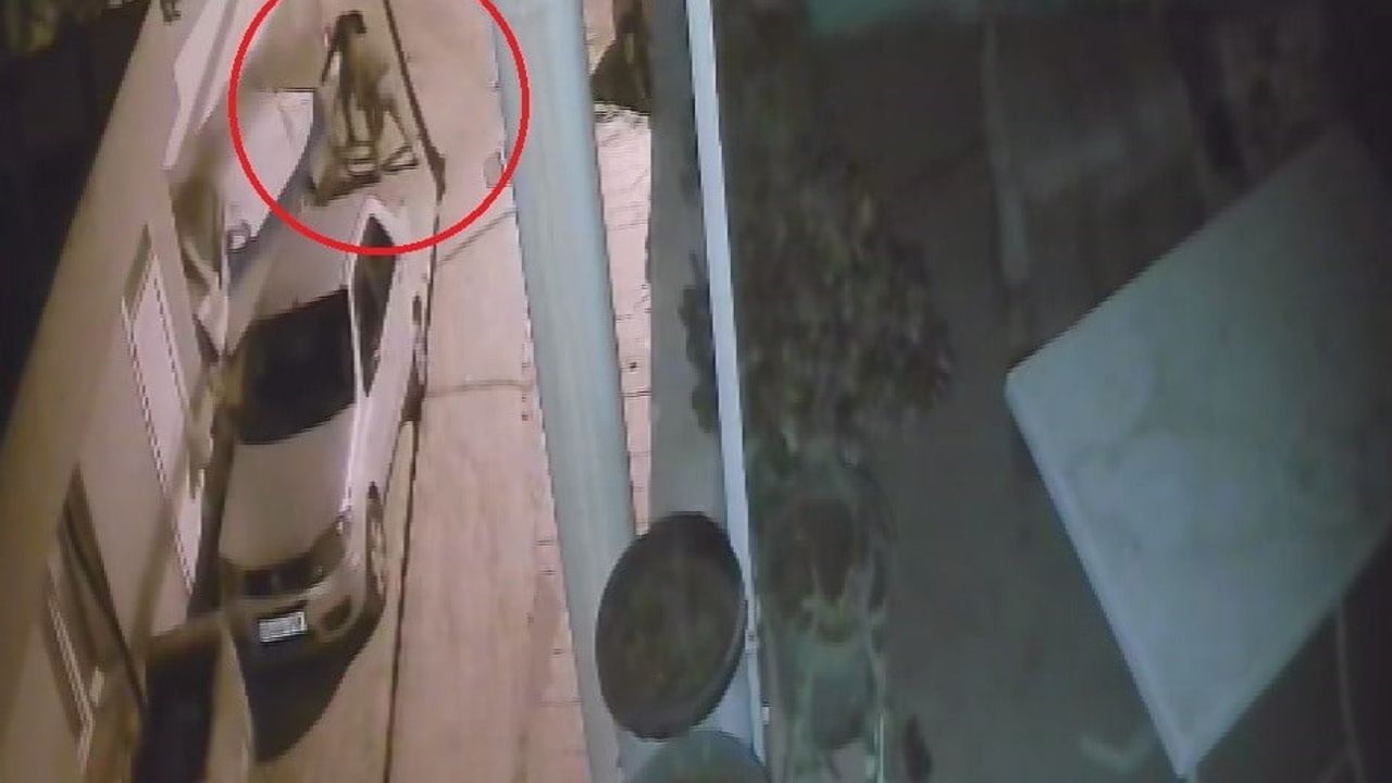 Antakya Bağrıyanık'ta yer altı kablolarını çalan hırsızlar kamerada