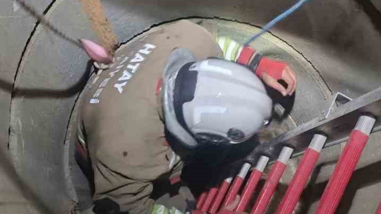 Antakya'da su kuyusuna düşen keçi kurtarıldı