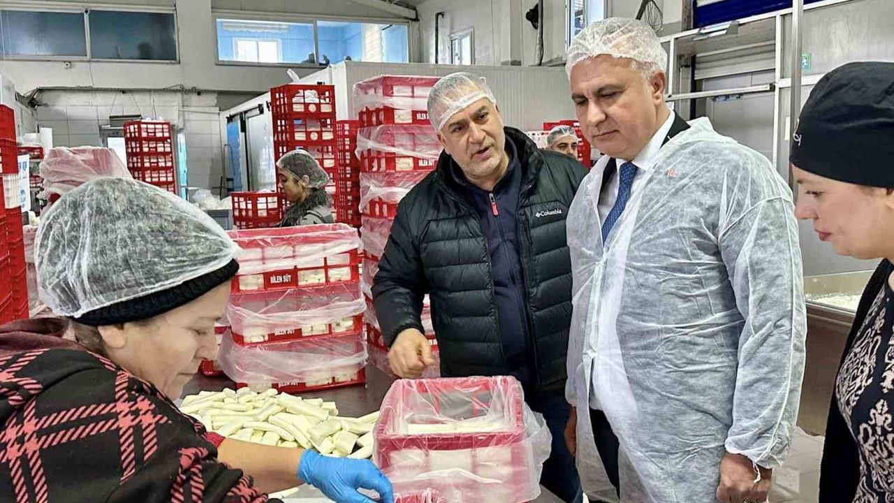 Antakya'da süt ürünleri tesisinde Tarım ve Orman Müdürlüğü denetimi