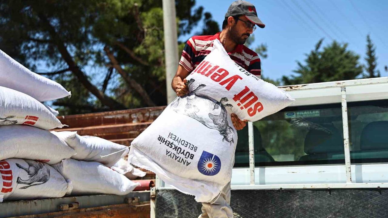 Antalya Büyükşehir’den 2025’te 503 bin 625 kg yem desteği ve ücretsiz veterinerlik