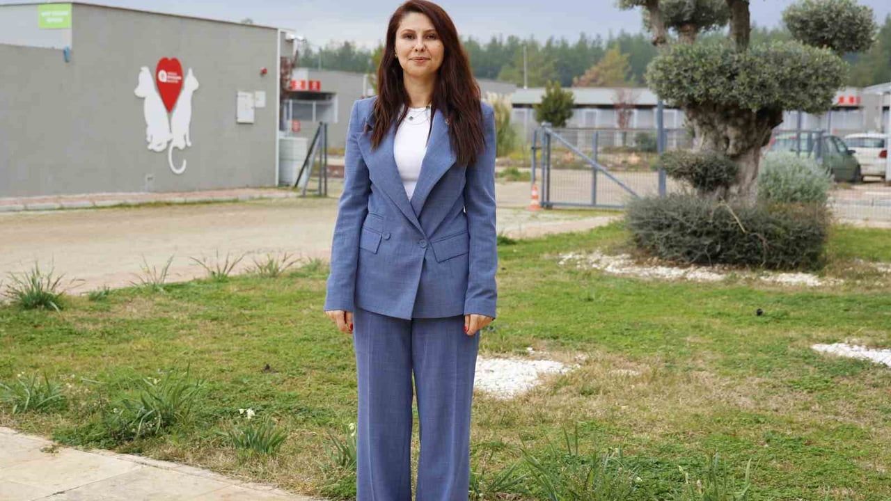 Antalya Büyükşehir, sokak köpekleri için doğal yaşam alanını 84 dönüme çıkardı