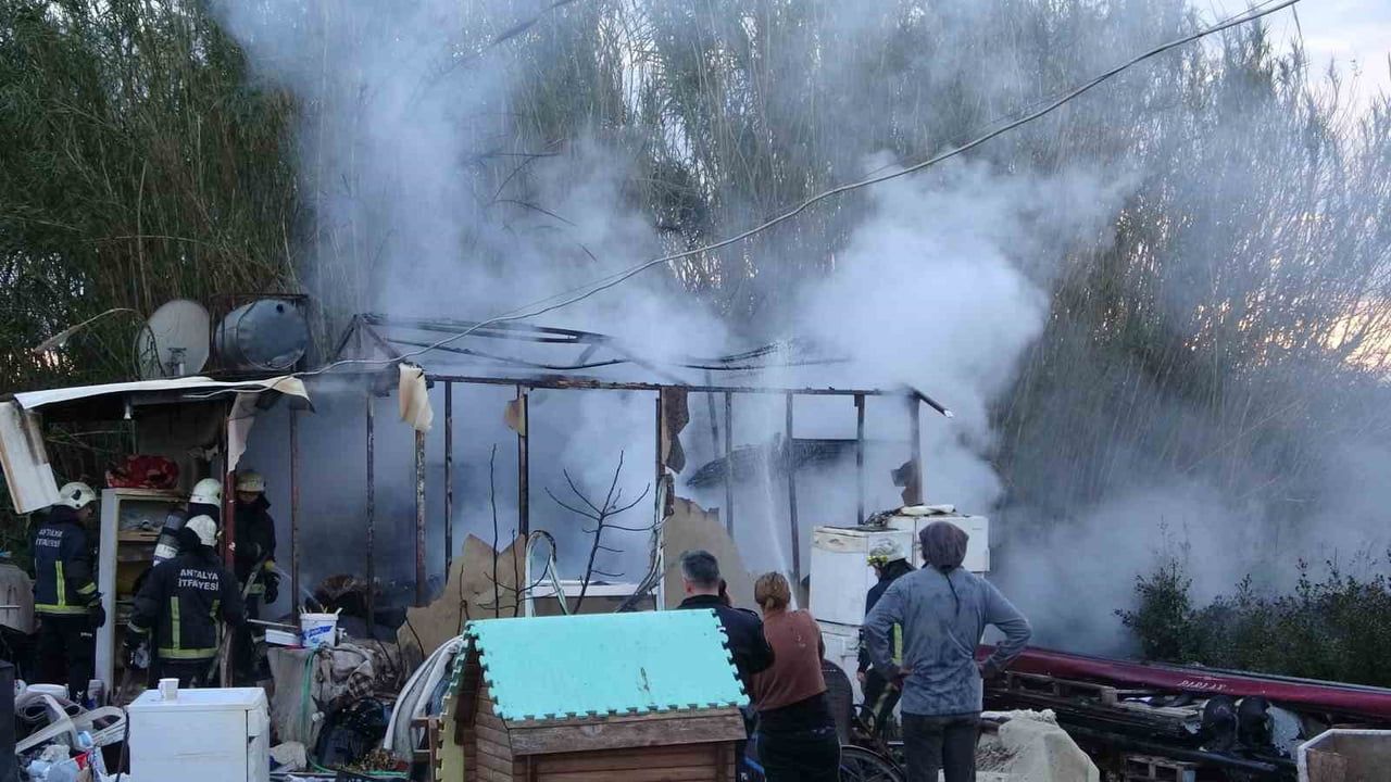 Antalya'da konteyner ev yandı: 2 kedi hayatını kaybetti