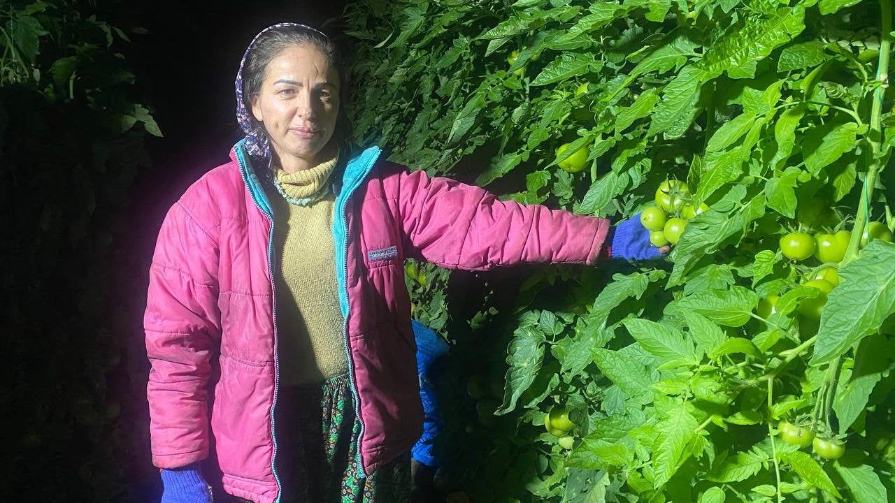 Antalya'da üreticiler gece boyu seraları dondan koruyor