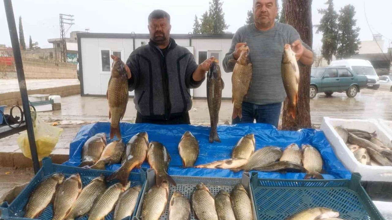 Araban'da soğuk hava balık talebini yükseltti