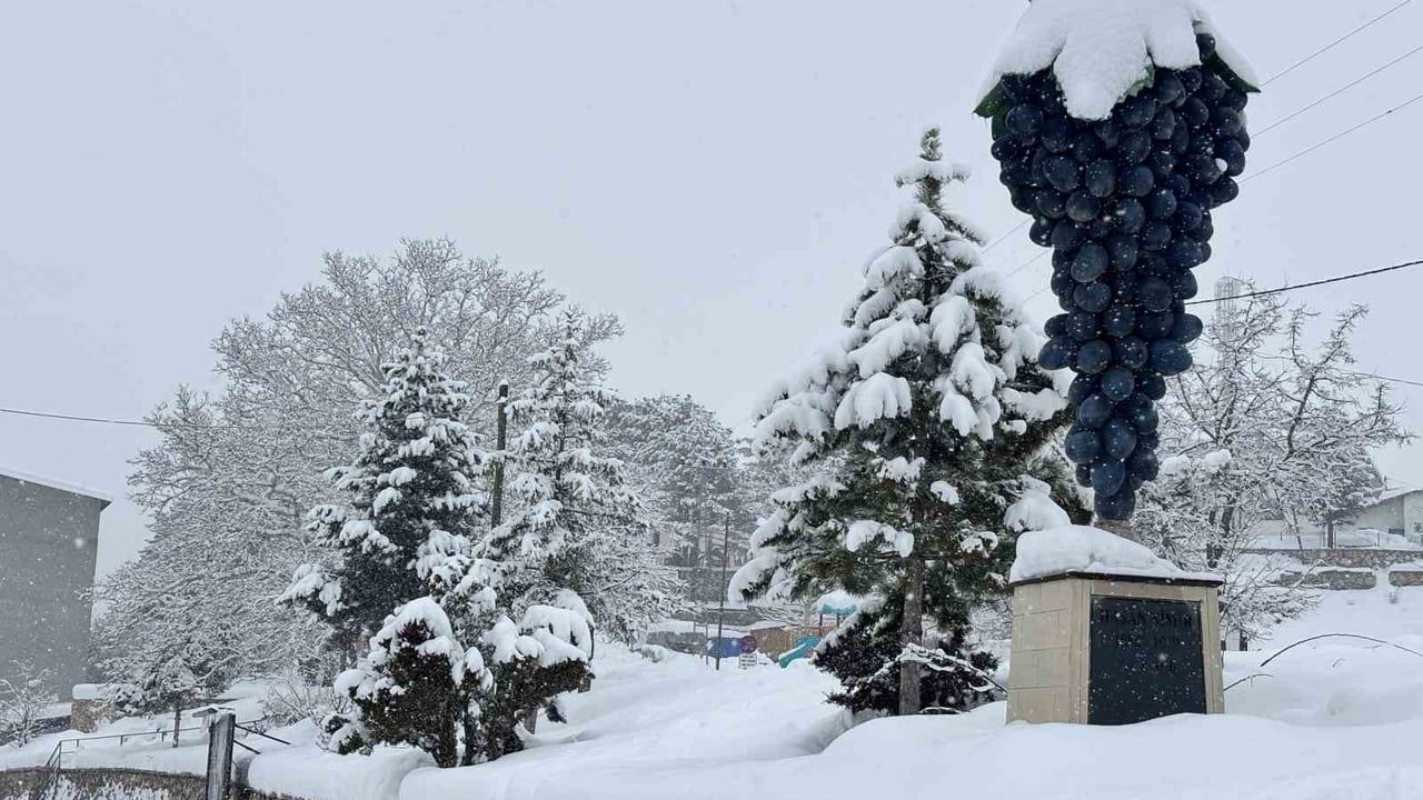 Arapgir beyaza büründü — Kar ilçede eşsiz manzaralar oluşturdu