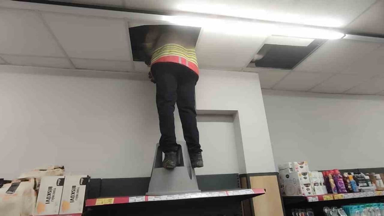 Arsuz’da market havalandırmasında mahsur kalan kedi itfaiye tarafından kurtarıldı