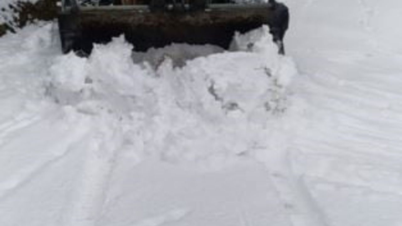 Artvin’de 18 köy yolu kar nedeniyle ulaşıma kapandı