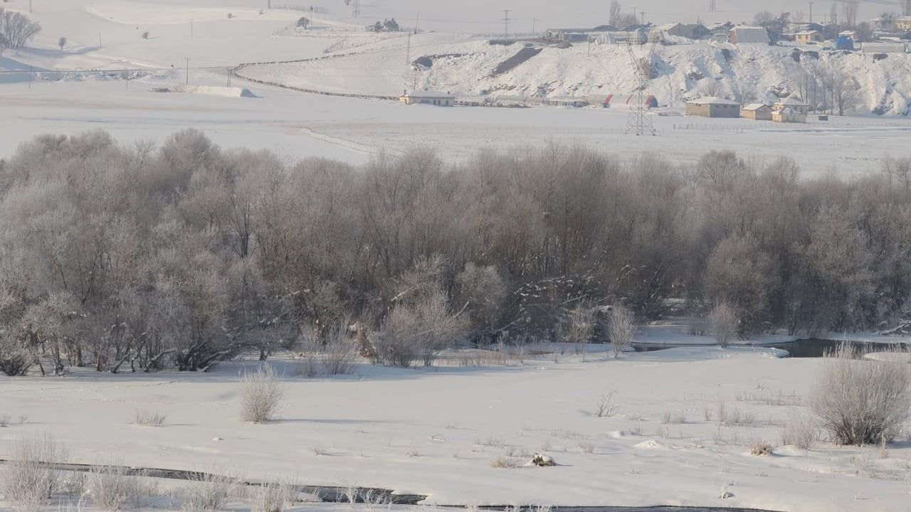 Aşkale'de Sibirya soğukları yaban hayatını zorluyor