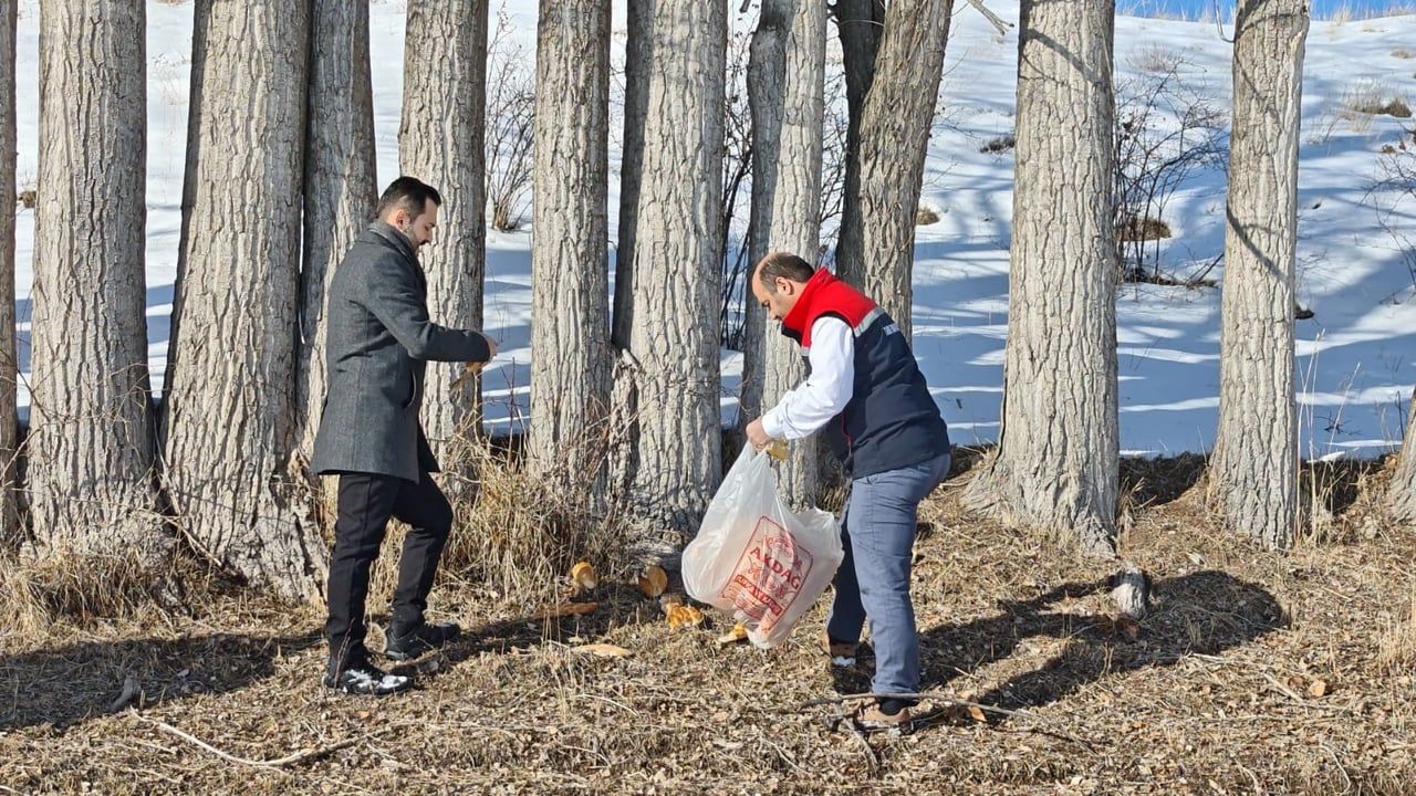 Aşkale’de Yaban Hayvanları İçin Kırsal Alanlara Yem Bırakıldı