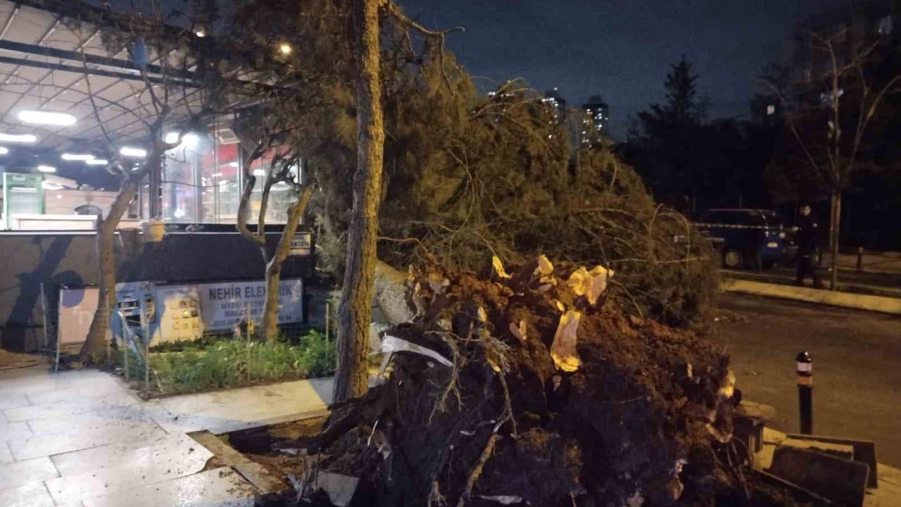 Ataşehir'de fırtına ağaç devrilmesine yol açtı — Barajyolu Caddesi kapandı