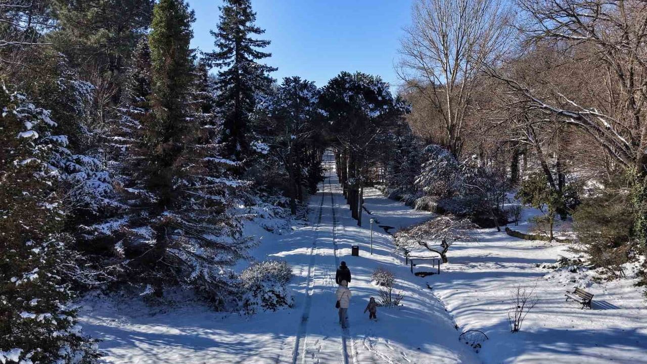Atatürk Arboretumu beyaza büründü: İstanbul’dan ziyaretçi akını