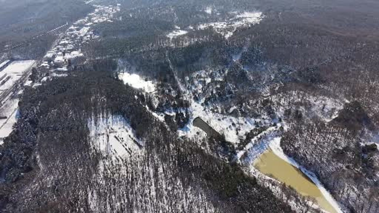 Atatürk Arboretumu beyaza büründü — İstanbullular kar manzarası için akın etti