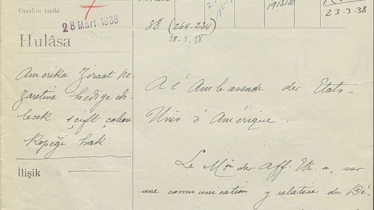 Atatürk Onayıyla Erzurum’dan ABD’ye Gönderilen Çoban Köpekleri