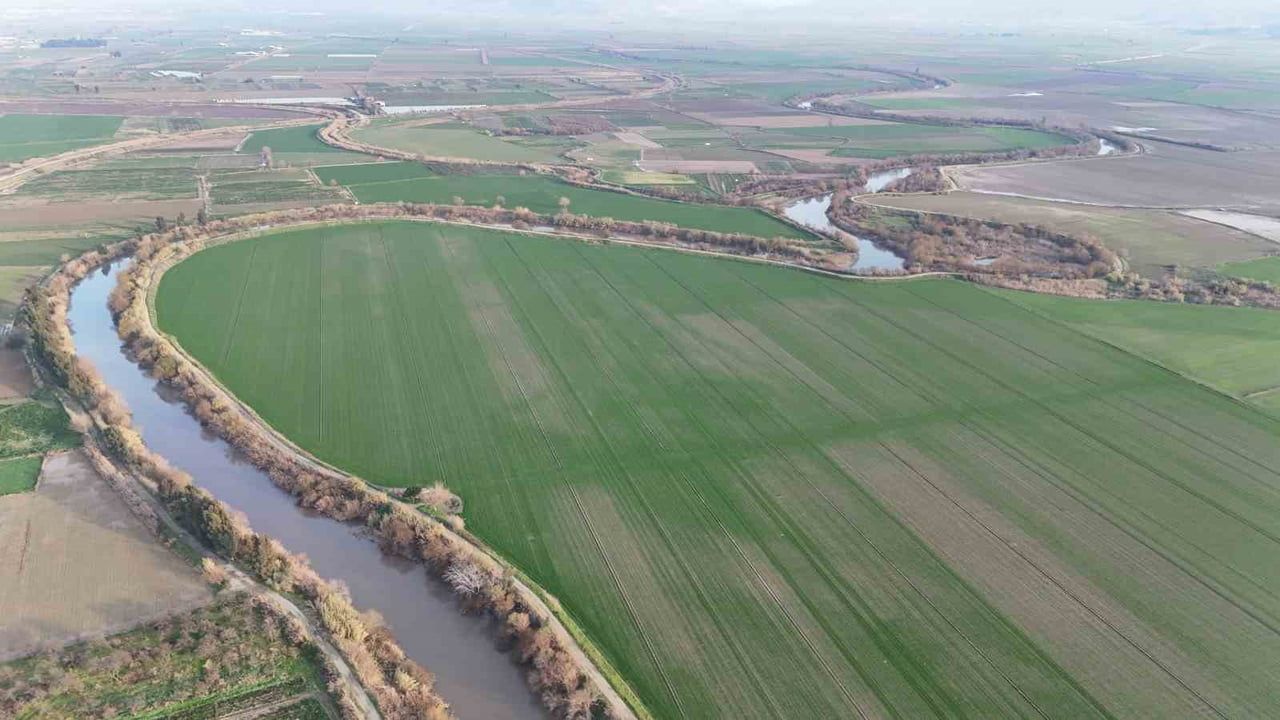 Aydın’da 2025’te zirai dondan etkilenen üreticilere 54 milyon 524 bin 81 TL destek