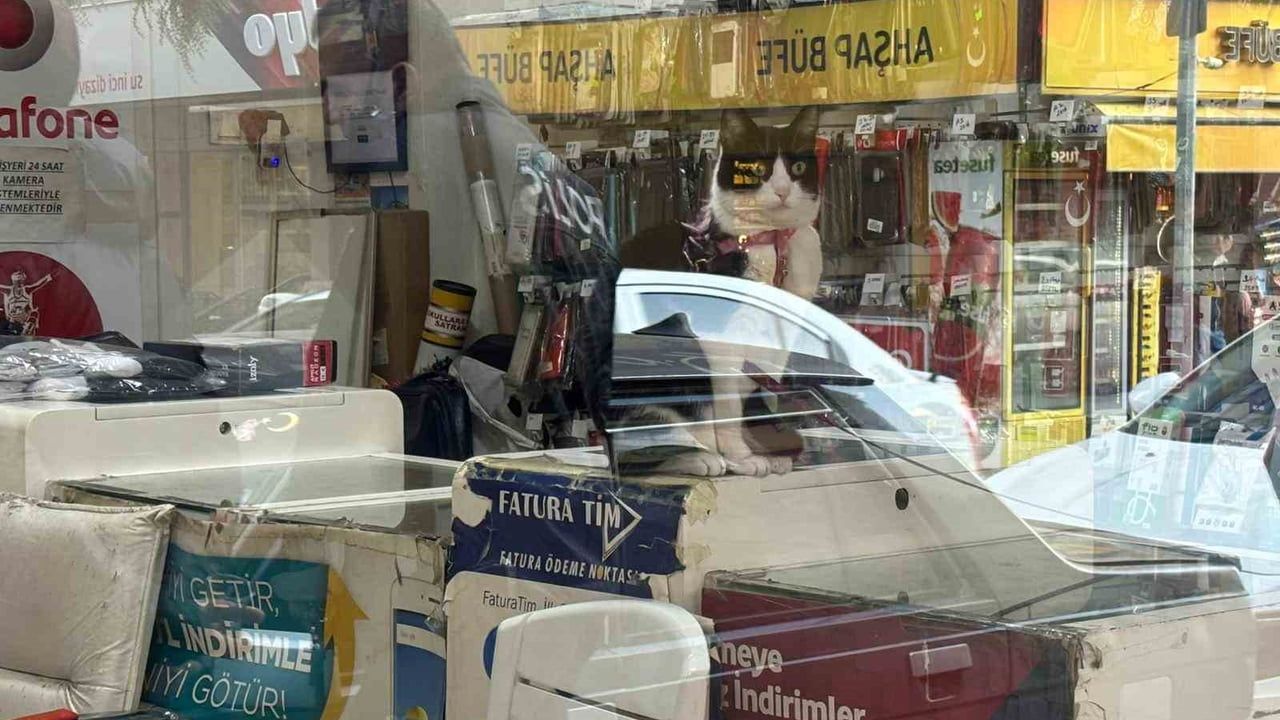 Aydın'da işyeri iki gündür kapalıydı; sahibinin cezaevinde olduğu anlaşıldı