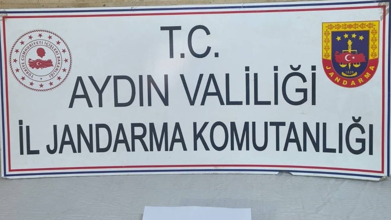 Aydın'da jandarma eş zamanlı operasyonla tarihi eserleri ele geçirdi