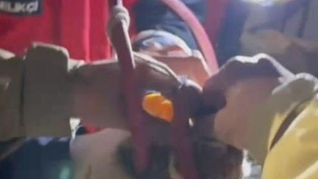 Ayvalık’ta su pompası deliğine düşen yavru kedi itfaiye tarafından kurtarıldı