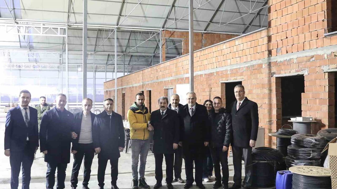 Bafra Sera OTB'de 48 bin metrekarelik topraksız çilek üretimi