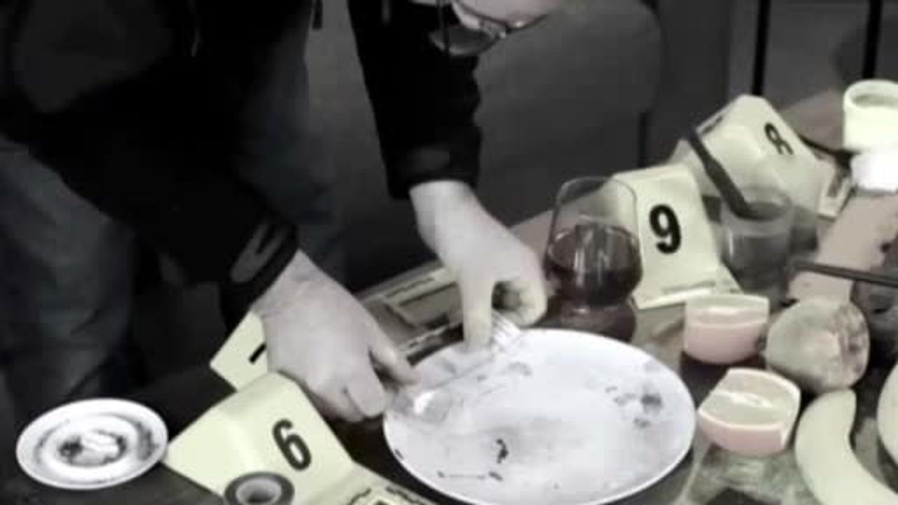 Bakan Yerlikaya: Antalya'daki 29.02.2016 faili meçhul kadın cinayeti aydınlatıldı