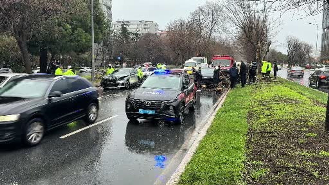 Bakırköy sahil yolunda fırtına: ağaç 4 araca devrildi
