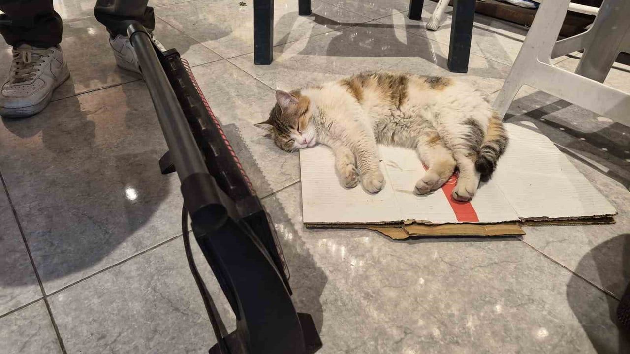Bakkalda ısıtıcının karşısında uyuyan sokak kedisi Eskişehir'de ilgi çekti