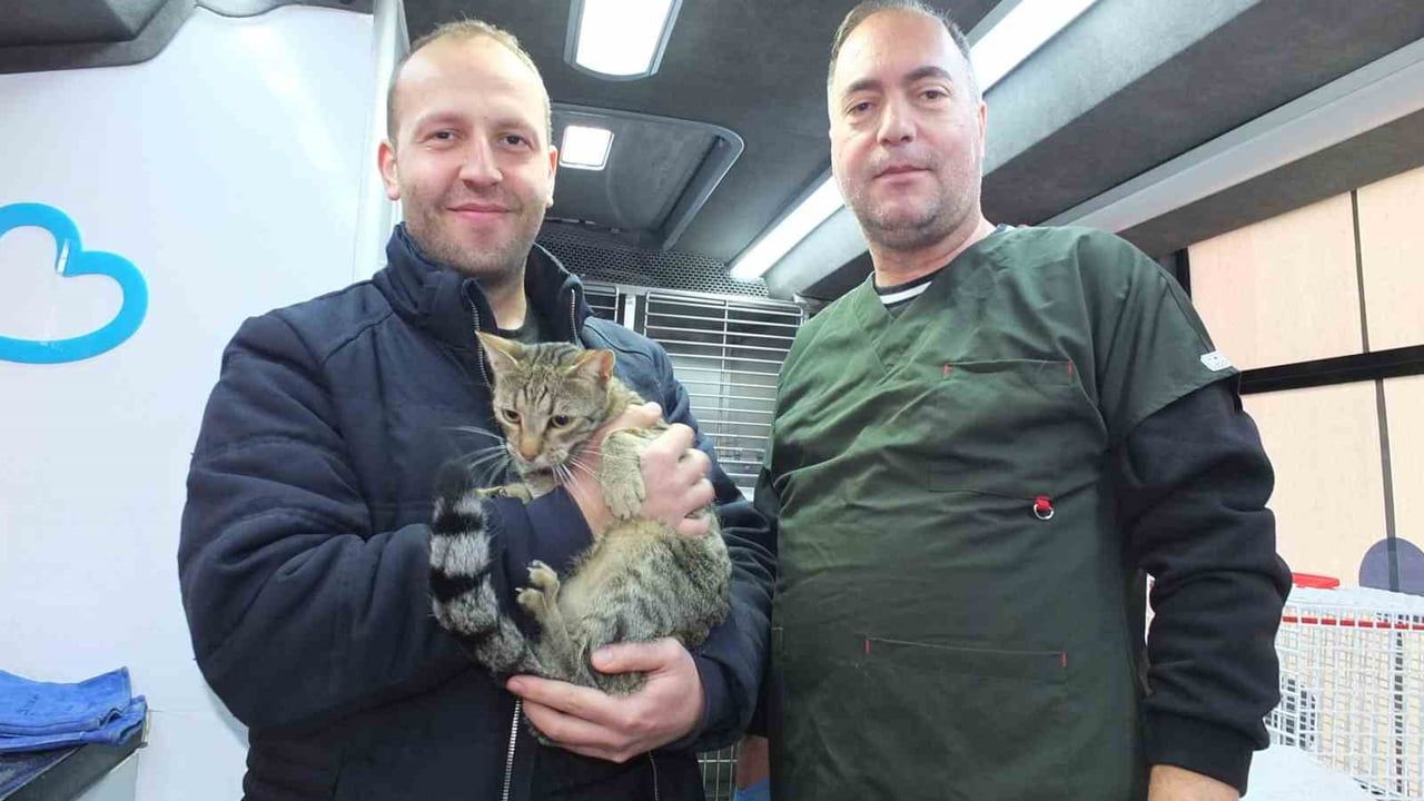 Balıkesir'de Can Dost aracı Burhaniye'de sokak kedilerine ücretsiz bakım sağladı