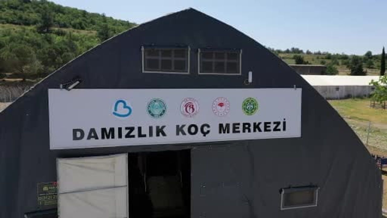 Balıkesir'de çiftçilere yüzde 100 hibeli damızlık desteği