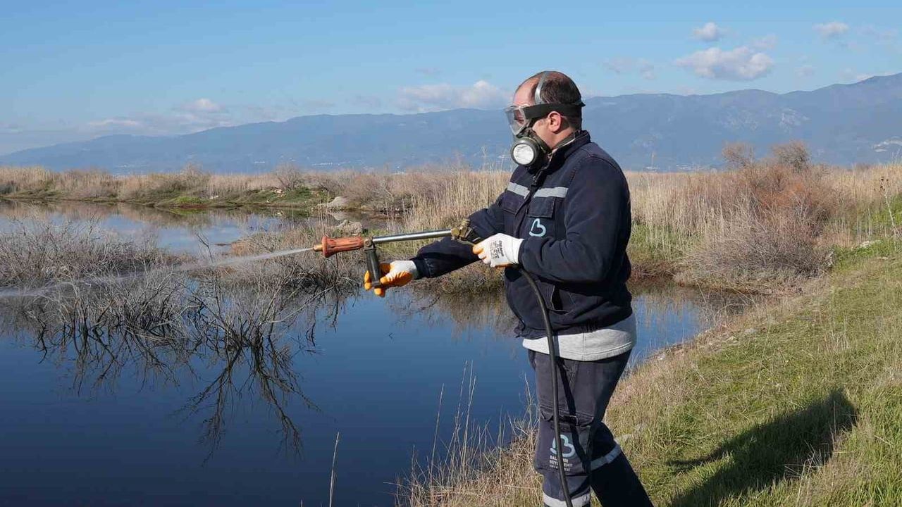 Balıkesir'de kışın haşereyle mücadele 20 ilçede sürüyor