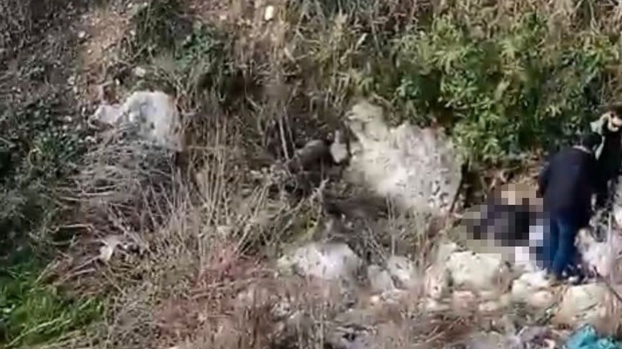 Balıkesir'den kayıp Sami Şen'in cesedi Mersin Silifke'de bulundu