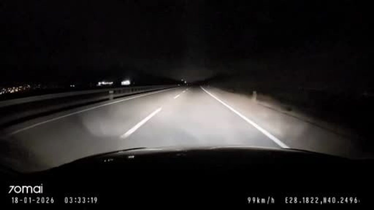 Bandırma-Karacabey Yolunda Aniden Yola Çıkan Tilki Sürücüyü Zorladı