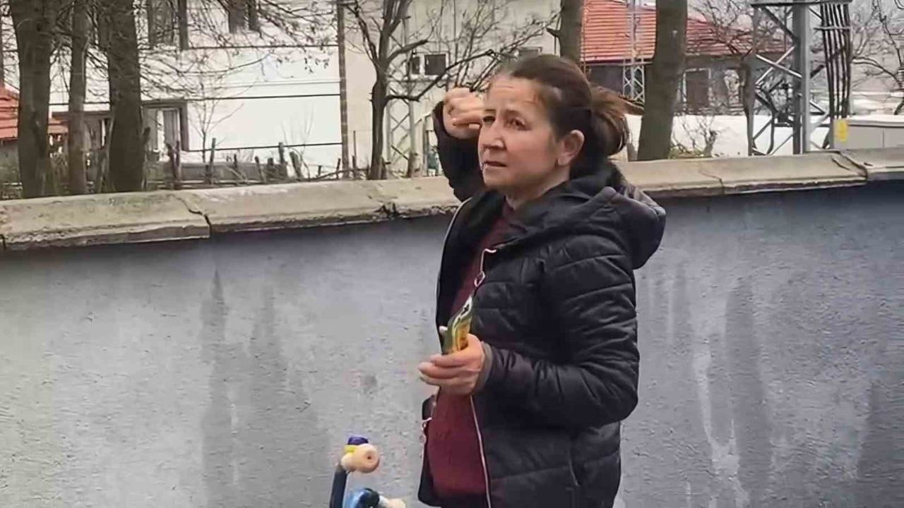 Bartın Gecen Köyü'nde Ağaçta Mahsur Kalan Kedi Bir Haftadır Kurtarılmayı Bekliyor