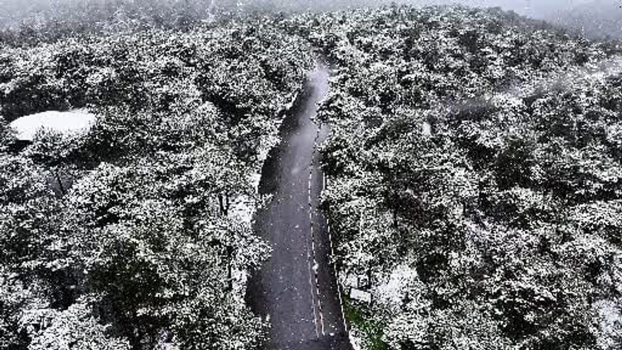 Başakşehir'de Şamlar Tabiat Parkı beyaza büründü