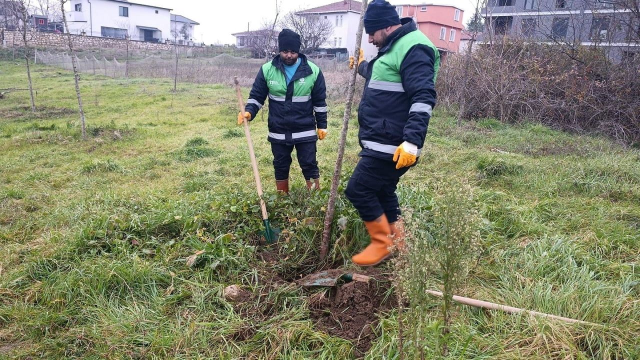 Başiskele'de peyzaj ve ağaçlandırma çalışmaları sürüyor