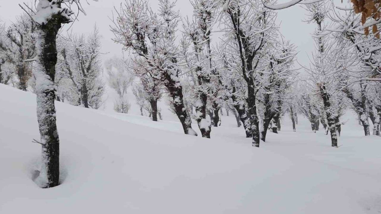 Batman'da 70 yaşındaki hasta kepçe ile ambulansa ulaştırıldı