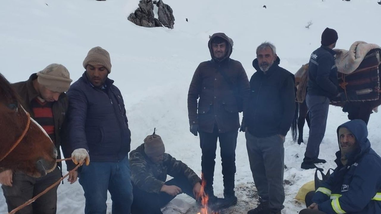 Batman'da Mereto Dağı eteklerinde mahsur kalan 6 katır kurtarıldı