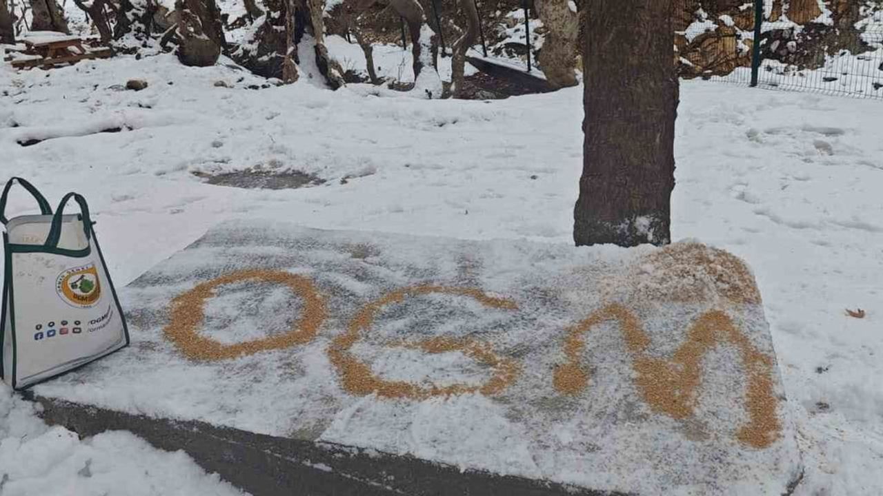 Batman'da orman memurlarından yaban hayatına kış desteği