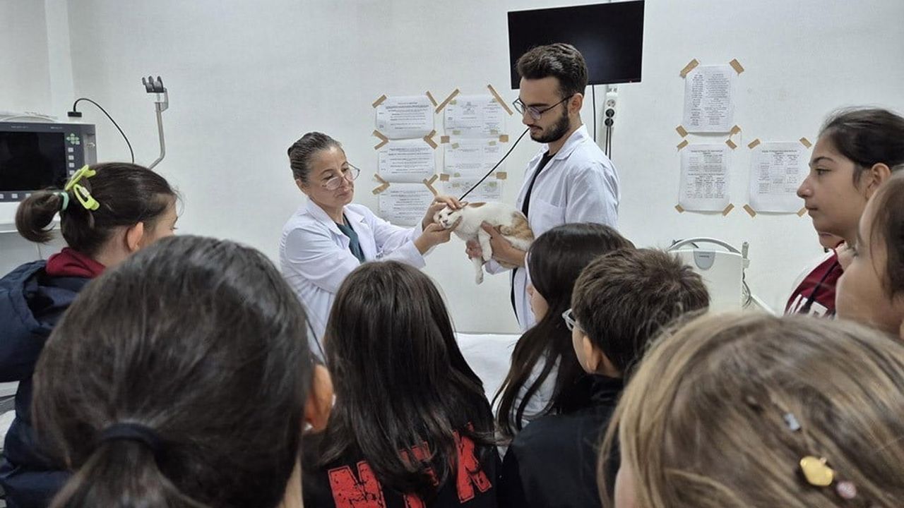 BAÜN Veteriner Fakültesi Hayvan Hastanesi 2025'te 2.996 hastaya şifa oldu