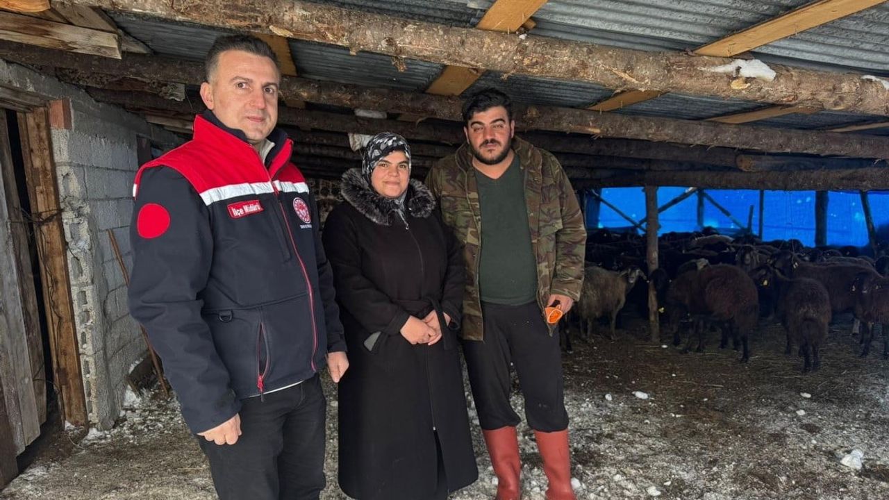 Bayburt'ta proje ile yeni başlayan hayvancılara destekler sürüyor