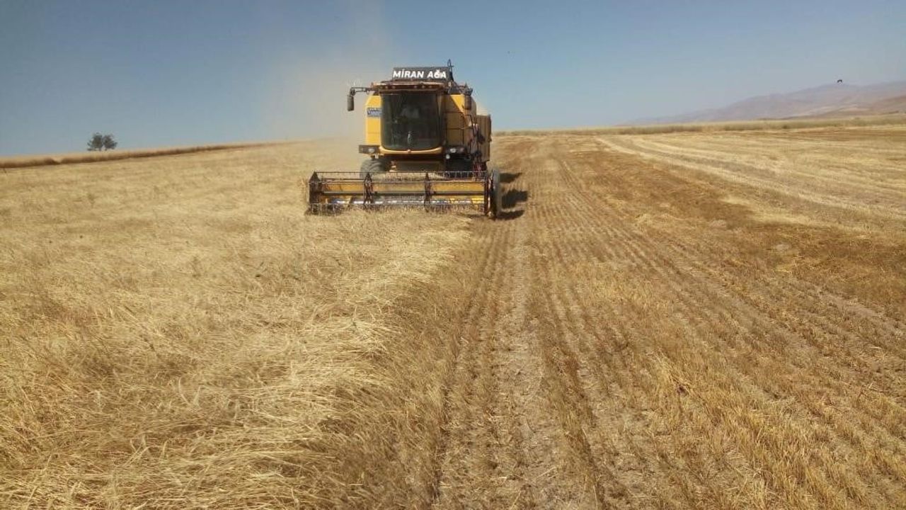 Bayburt’ta TMO’dan yemlik arpa satışı — Başvurular 12 Ocak 2026'ya kadar